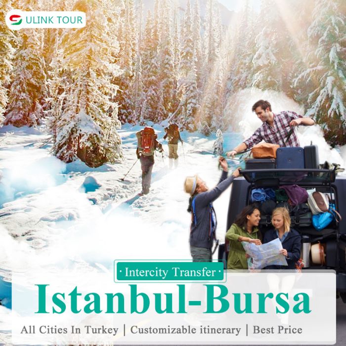 Turkey  Intercity Car Hire  with Chauffer- City to City  Transfer(Istanbul-Bursa/Uludag Ski Center)
